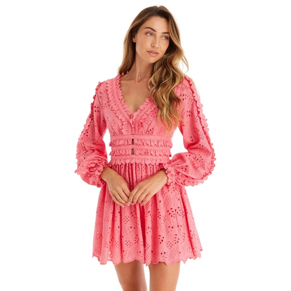 NWT Allison New York - Taylor Pink Eyelet Mini Dress Multiple Sizes Available - Picture 3 of 8
